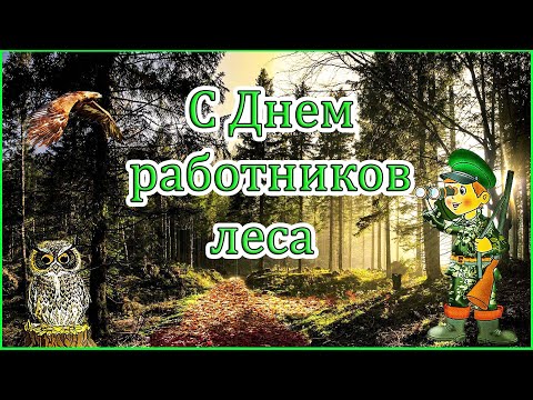 Видео: С днём лесника! 2022!✨ Самое красивое поздравление с днём работника леса! 18 Сентября