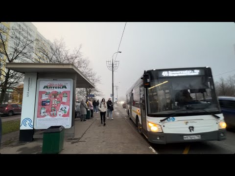 Видео: Утренний туман в Зеленограде 05.11.2025