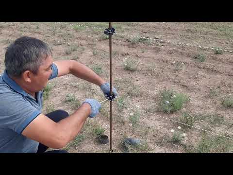 Видео: Поставили стандартные заводские изоляторы на электропастух.