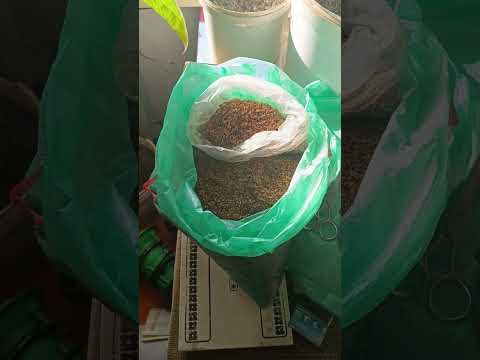 Видео: Нарезка или крупка. Цена и качество.