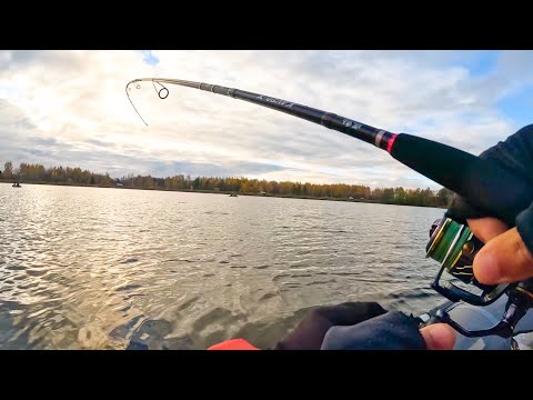 Видео: Рыбалка ПОЗДНЕЙ ОСЕНЬЮ на КРУПНЫЙ СИЛИКОН.  Рыбалка на спиннинг в 2024