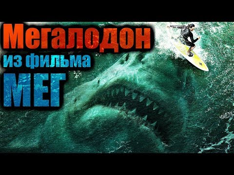 Видео: ВСЁ О МЕГАЛОДОНЕ | МЕГ: МОНСТР ГЛУБИНЫ