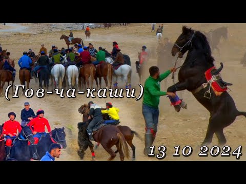 Видео: Говкаши дар Панчакент 13 10 2024