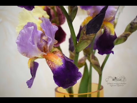Видео: Ирис бородатый.  Обзор инструментов для лепки ириса из холодного фарфора