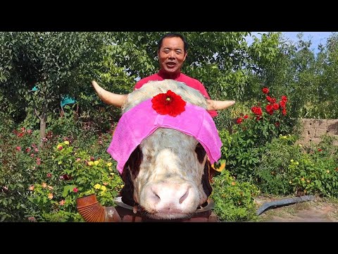 Видео: 68 фунтов [коровьих голов] тушеных и копченых, празднуем урожай! | Дядюшка сельский гурман