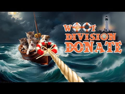 Видео: Остання надія, або Woof Division Donate