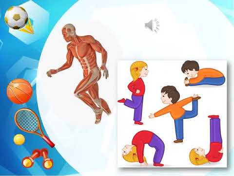 Видео: физическая культура 1 класс 7 урок