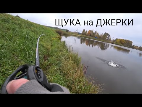 Видео: ЩУКА на ДЖЕРКИ!!! В поисках трофейной рыбы!