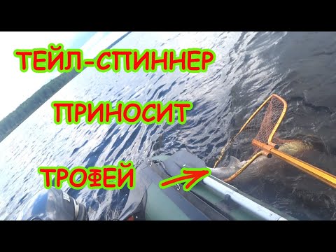 Видео: ТЕЙЛ - СПИННЕР ПРИНОСИТ ТРОФЕЙ