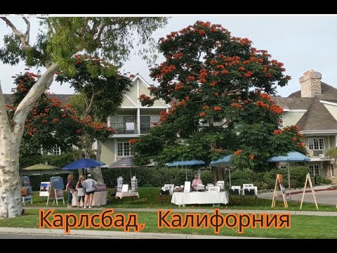 Видео: Карлсбад, Калифорния.