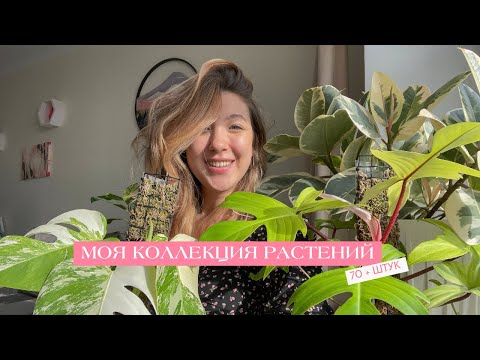 Видео: 70+ тропических растений! Моя коллекция растений