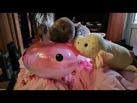 Видео: Обзор плюшевых и надувного аксолотлей + история про одного настоящего