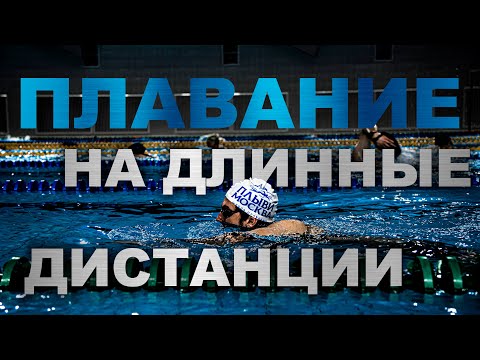 Видео: Как ЛЕГКО ПЛАВАТЬ длинные дистанции | Советы профессионального пловца