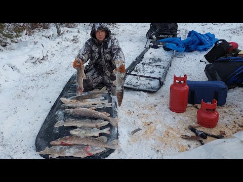 Видео: Четыре дня в тайге, на озёрах ХМАО - Югры.