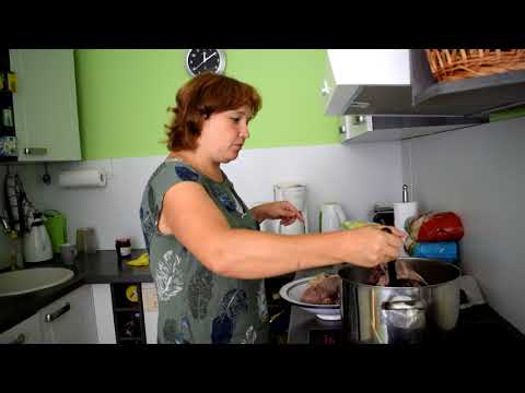 Видео: КАК ПРИНИМАЛИ НАС ВОЛОДЯ И ОЛЯ В ГЕРМАНИИ .ЦЕЛЛЕ . ОБЗОР КВАРТИРЫ.