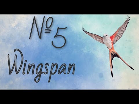 Видео: Wingspan (Крылья) - сетевая партия