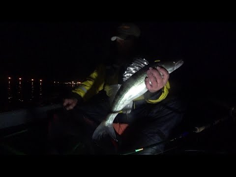 Видео: Выборгский залив. Дорожка. Судаки. День 1.