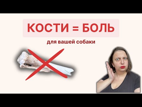 Видео: Даете собаке кости? Вы можете сделать ей очень больно