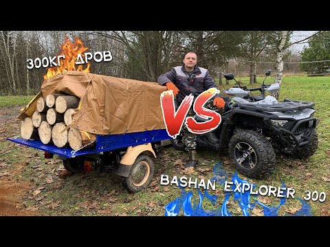 Видео: Bashan EXPLORER 300 и 300кг дров! Грязи и пикник!