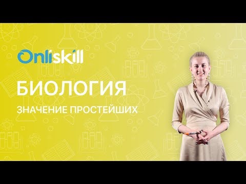 Видео: БИОЛОГИЯ 7 класс : Значение простейших | Видеоурок