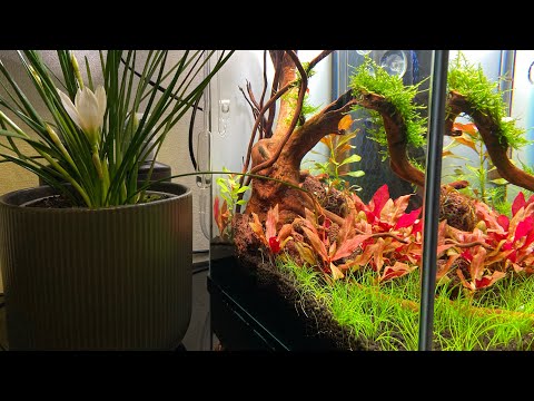 Видео: ДЕНЬ 28. УВЕЛИЧИЛА УДО И СВЕТ💡