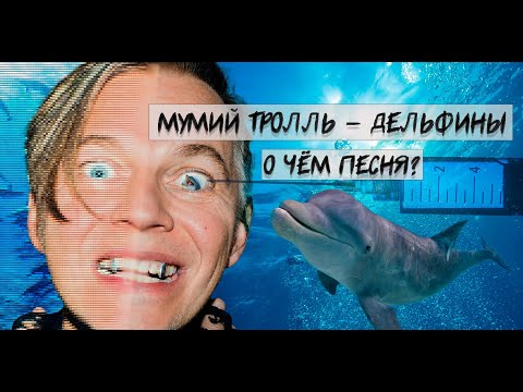 Видео: Мумий Тролль. Начало пути. "Морская" и "Икра". "Дельфины" - история одной песни.