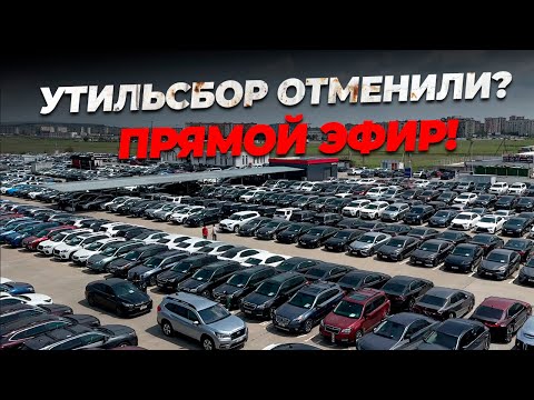 Видео: ХАОС НА АВТОРЫНКЕ В ГРУЗИИ — ГДЕ ВСЕ МАШИНЫ?! УТИЛЬСБОР ОТМЕНИЛИ ??
