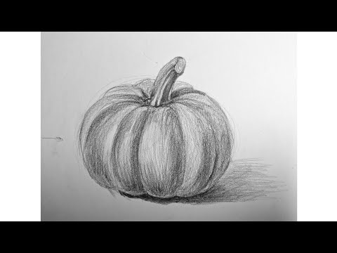 Видео: Тыква простым карандашом