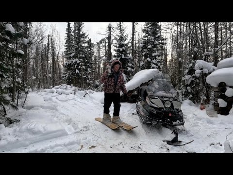 Видео: Вытаскиваю соболей. Окно в доме , дрова. Продолжаю рассказ.