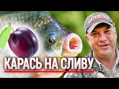 Видео: Ловля КАРАСЯ з Ями на СЛИВУ! Рибалка - Дикий Дніпро!