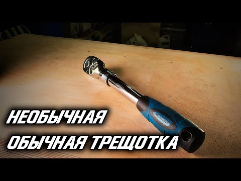 Видео: Необычная обычная трещотка