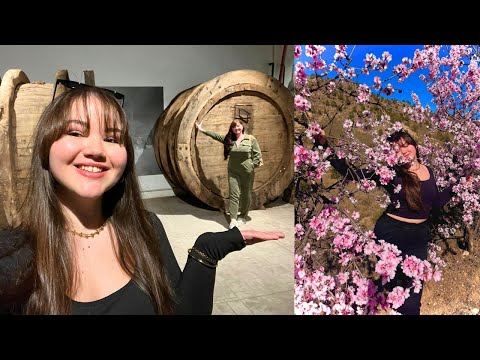 Видео: Дегустация вина и праздник в Pinoso 16.02.25