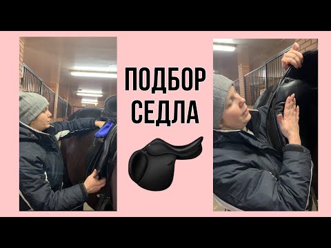 Видео: ПОДБОР СЕДЛА (ЧАСТЬ ПЕРВАЯ)