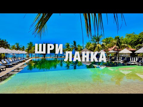 Видео: ШРИ-ЛАНКА❗️ШОК ОТДЫХ : САФАРИ, СЛОНЫ, ЦЕНЫ, ЭКСКУРСИИ. ЧТО ПОСМОТРЕТЬ? ОТЕЛЬ В ПАСИКУДЕ!