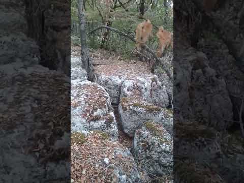 Видео: 23 октября 2025 г.