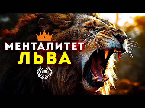 Видео: МЕНТАЛИТЕТ ЛЬВА - Лучшее мотивационное видео 🧡