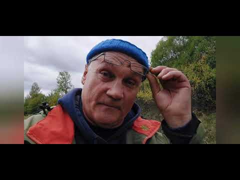 Видео: Можно ли заработать от пчеловодства? Мой опыт.