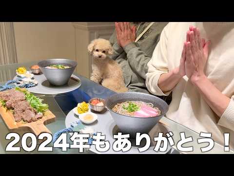 Видео: [Возвращение в родной город] Той-пудель завершает 2024 год с семьей.