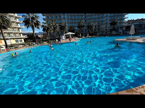 Видео: Сочи Парк Отель зимой! 🐬 Очень тепло +21! Все купаются в бассейне! 🌴 Чёрное море 2024 @maryobzor