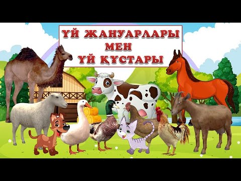 Видео: ҮЙ ЖАНУАРЛАРЫ МЕН ҮЙ ҚҰСТАРЫ