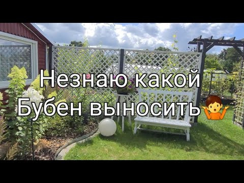 Видео: Наши Дачи на севере Германии/Помидоры заболели, проредила малину. 