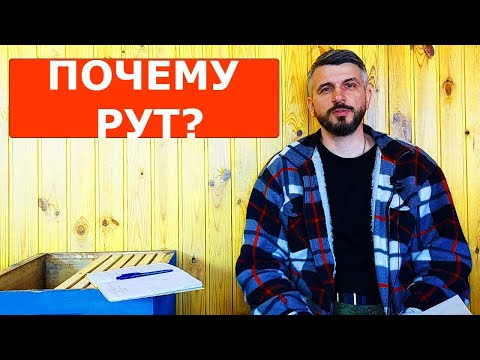Видео: Вечный спор какой улей лучше/ пчеловодство в рутах
