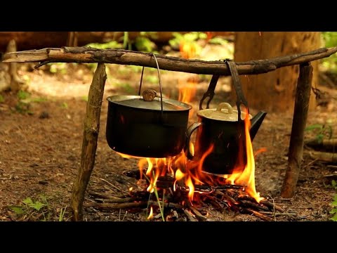 Видео: душевный отдых в лесу