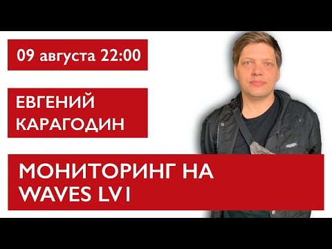 Видео: Мониторинг на WAVES LV1