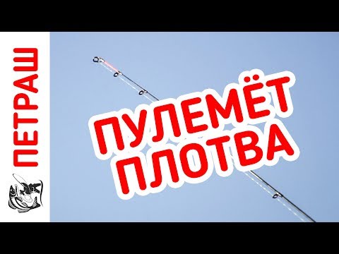 Видео: РЫБАЛКА на Фидер. ПУЛЕМЁТ ПЛОТВА. Советы начинающим.