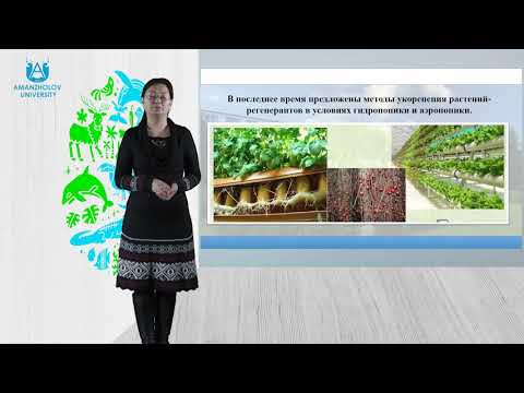 Видео: Комекова Г.К. Семенное и вегетативное размножение растений, как основа сохранения редких видов