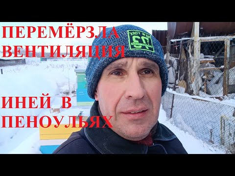 Видео: Замёрзла вентиляция в пеноульях. Иней внутри улья