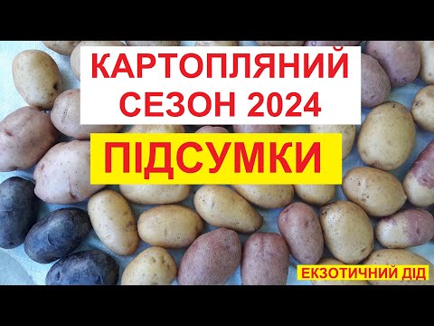 Видео: КАРТОПЛЯ. НАУРОЖАЙНІ сорти в сезоні 2024.