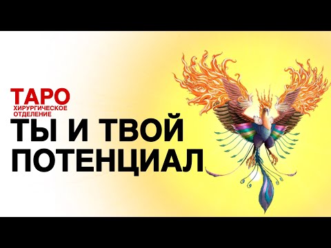 Видео: 💡ТАРО: потенциал. В чём твой будет рост! Где ты наберёшь высоту! 