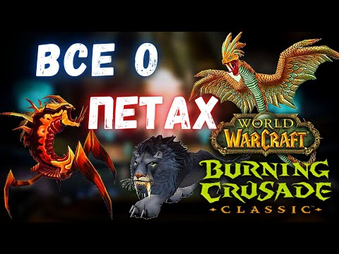 Видео: Все о петах Охотников | Полный гайд о питомцах | WoW Burning Crusade Classic